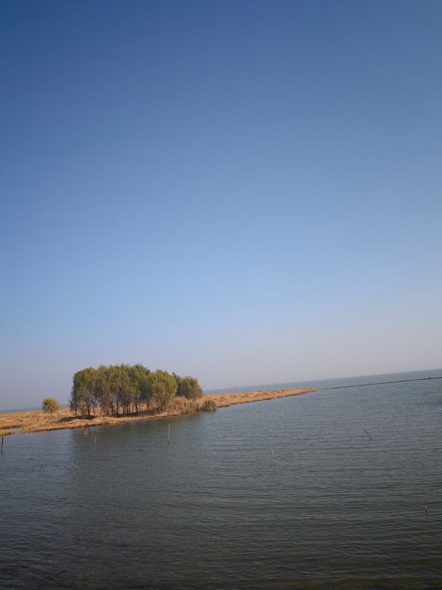 太湖綠地公園 太湖綠地公園