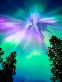 冬奧漲價在即北歐極光季攻略直接抄