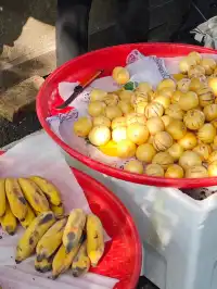 興義:高鐵開通!週末逛峽谷看瀑布(無車版