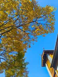 麗江古城泊心雲舍|晚安時分,讓每一處細節溫暖你的夢鄉