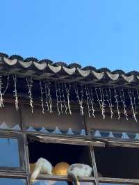 帶娃去杭州定製遊攻略省心又好玩