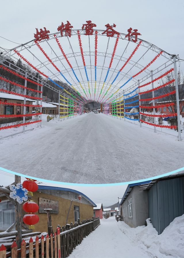 在雪谷發現這家寶藏民宿!老闆手藝絕了 在雪谷發現這家寶藏民宿!老闆手藝絕了