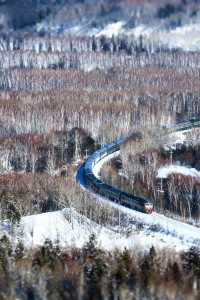 我在漠河看到了幻彩的極光！！