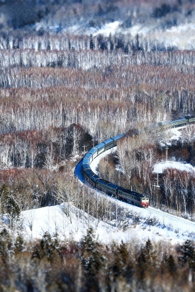 我在漠河看到了幻彩的極光！！