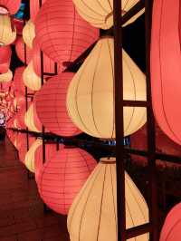 昆明大觀公園新春燈會(八)