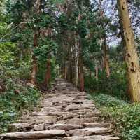 江西九江歡迎您