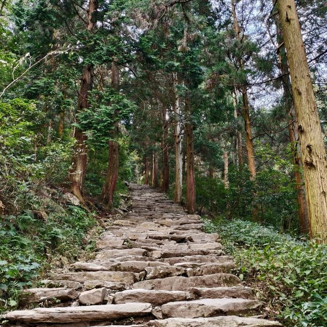 江西九江歡迎您 江西九江歡迎您