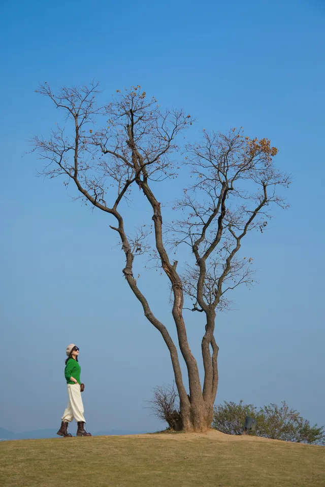 東錢湖|為了這些機位,我特意去了趟寧波~ 東錢湖|為了這些機位,我特意去了趟寧波~