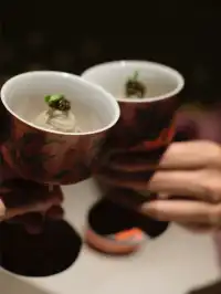 上海中心68層體驗雲端懷石料理