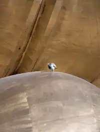 說走就走！九華山之旅