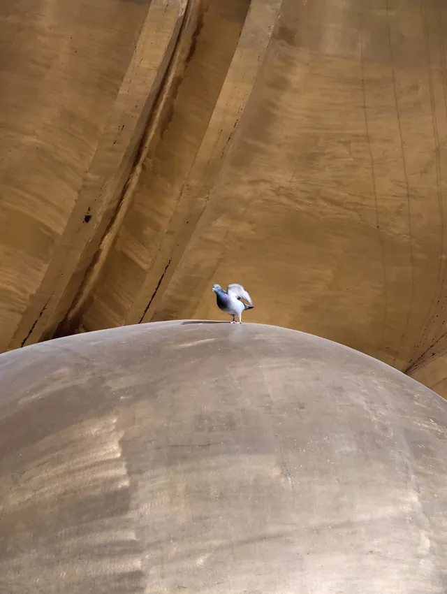 說走就走！九華山之旅