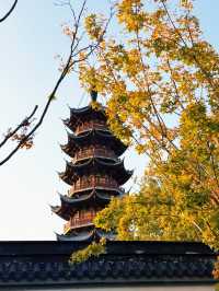 魔都秋日限定龍華寺美成古畫了!!!