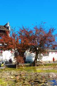 水墨宏村深度遊這份不走回頭路的懶人攻略必須碼住！