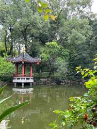 惠州羅浮山|登高尋訪葛洪跡 觀瀑聽泉洗塵心