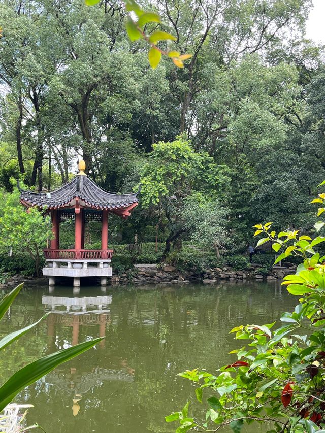 惠州羅浮山|登高尋訪葛洪跡 觀瀑聽泉洗塵心 惠州羅浮山|登高尋訪葛洪跡 觀瀑聽泉洗塵心