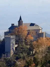 莫干山紅色氛圍已拉滿，趕緊衝！！