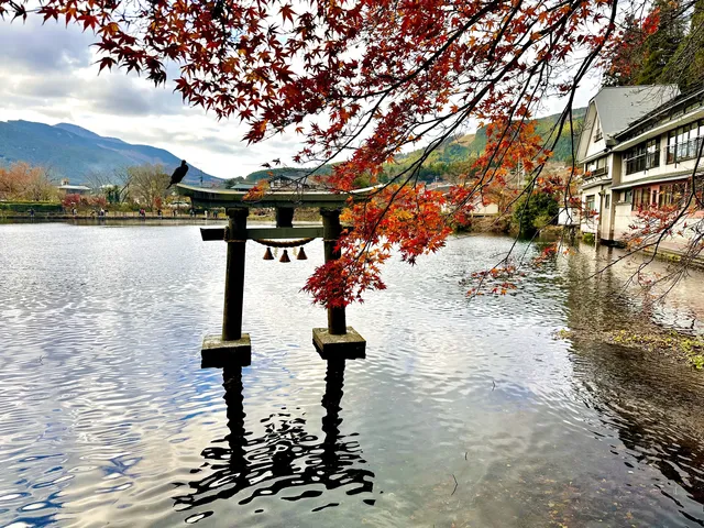 深秋橫斷九州--海拉魯大陸的紅葉狩