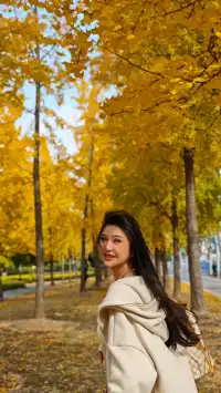 黃金城道及周邊最全銀杏拍攝citywalk路線