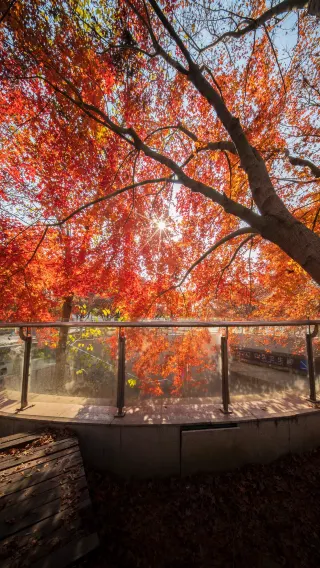 This is actually a restroom in Hefei