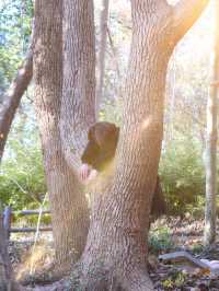 上海|秋冬這裡簡直太美了吧!