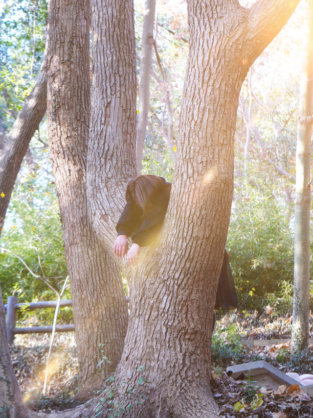 上海|秋冬這裡簡直太美了吧! 上海|秋冬這裡簡直太美了吧!