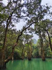 貴州5日經典環線攻略,跟著走就對了!