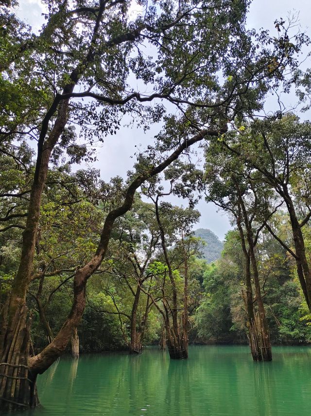 貴州5日經典環線攻略,跟著走就對了! 貴州5日經典環線攻略,跟著走就對了!