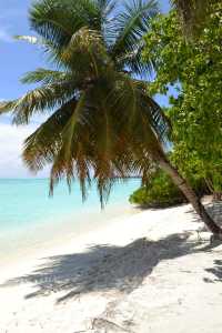 馬爾代夫太陽島度假村 | 熱帶天堂中的瑰寶 酒店:太陽島度假村 地址:太陽島,馬爾代