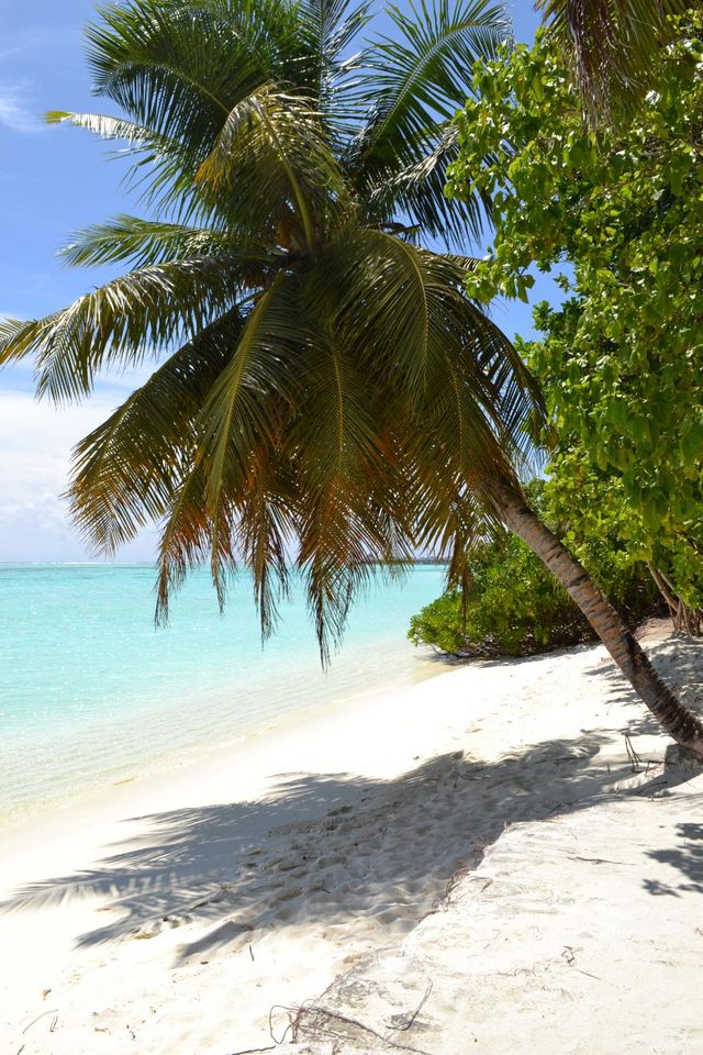 馬爾代夫太陽島度假村 | 熱帶天堂中的瑰寶 酒店:太陽島度假村 地址:太陽島,馬爾代 馬爾代夫太陽島度假村 | 熱帶天堂中的瑰寶 酒店:太陽島度假村 地址:太陽島,馬爾代