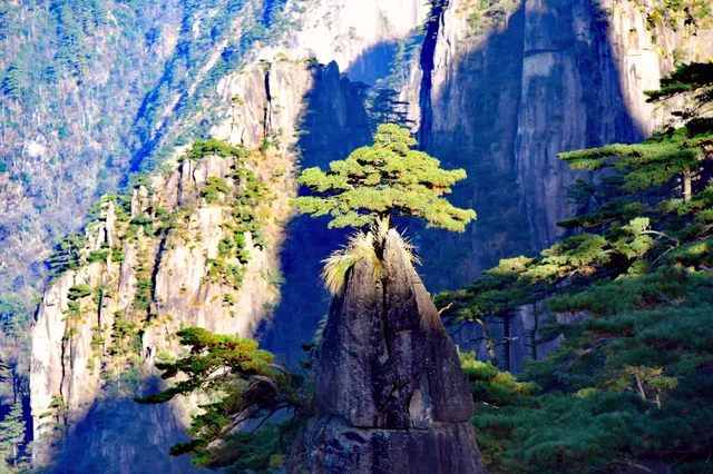 初冬的黃山,依然可以封神! 初冬的黃山,依然可以封神!