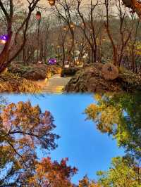 被問爆了!這個秋天在永泉小鎮,找到了江南最治癒的時光