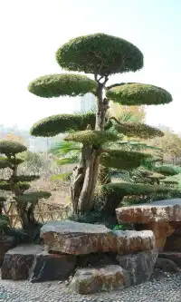 武漢東湖邊藏了個金色+鏽紅色的油畫秋天