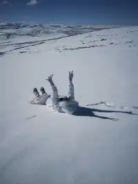 命運的扣環—願我們永遠自由