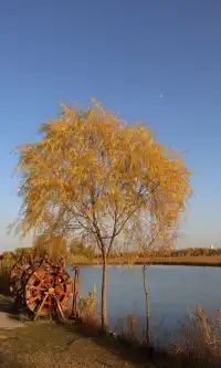 我心目中西安排名第二的免費公園