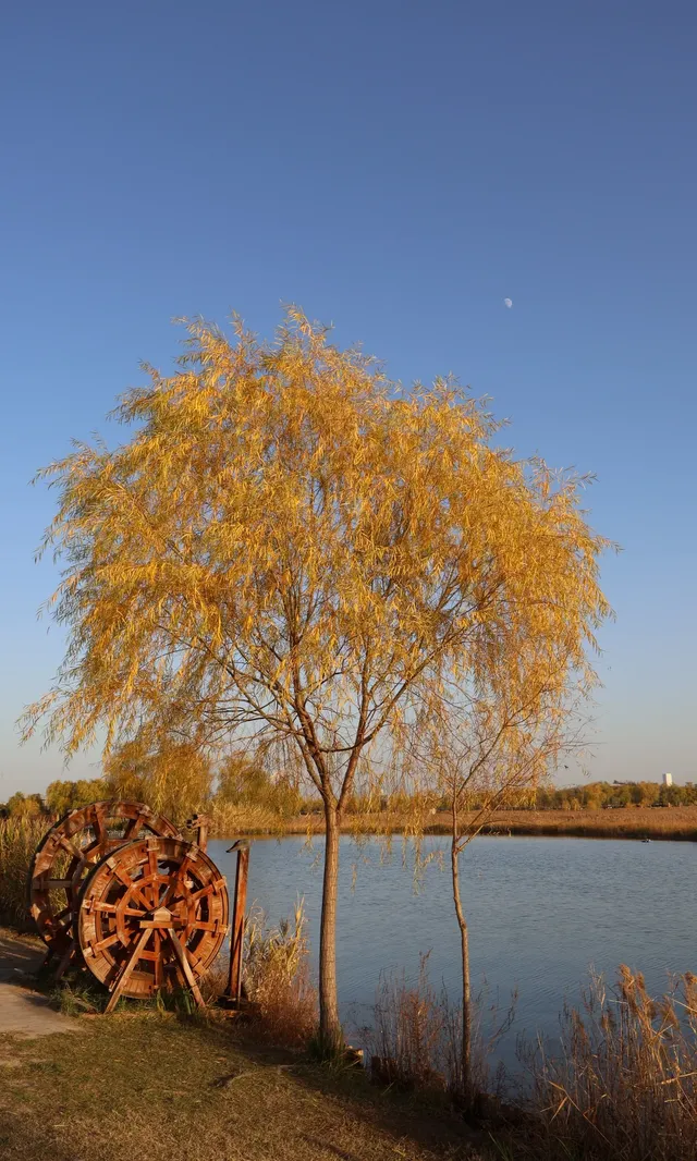 我心目中西安排名第二的免費公園
