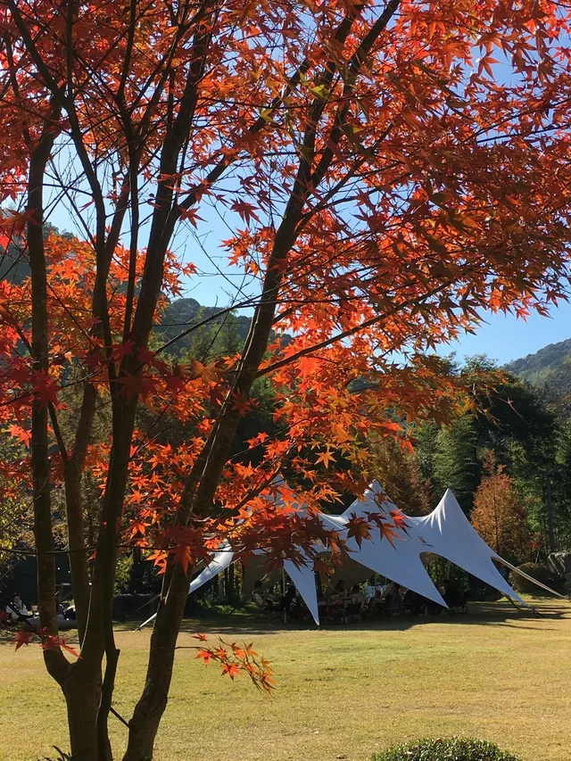 真的不是在京都!就在福州… 真的不是在京都!就在福州…