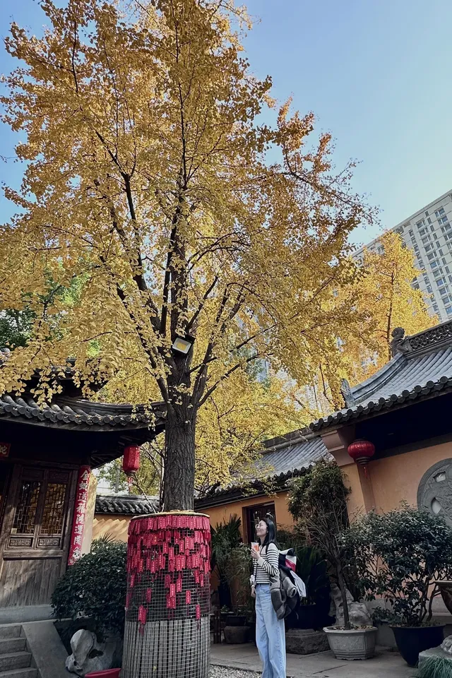 12.6 湖州秋景city walk路線 12.6 湖州秋景city walk路線