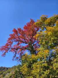 九峰村徒步 是誰說福州沒有秋天的