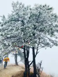 武功山下雪預警!開始期待今年的白色武功山