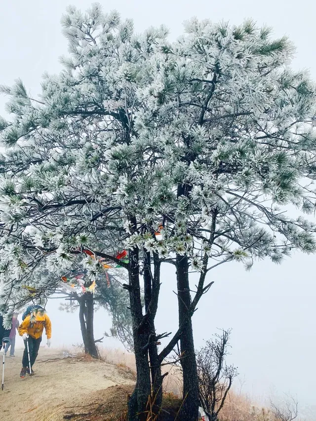 武功山下雪預警!開始期待今年的白色武功山 武功山下雪預警!開始期待今年的白色武功山
