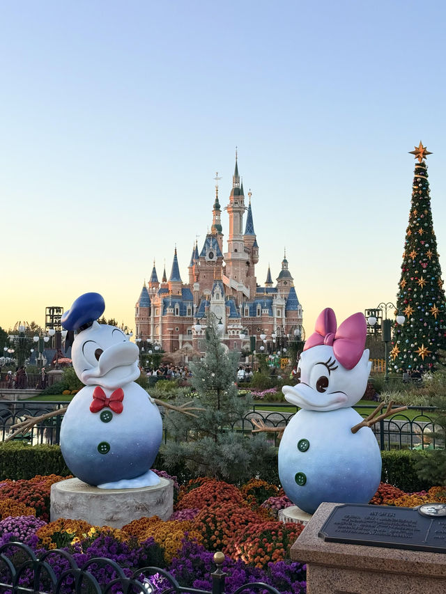 【上海迪士尼樂園保姆級攻略】日行2萬步避中伏攻略嚟啦 【上海迪士尼樂園保姆級攻略】日行2萬步避中伏攻略嚟啦