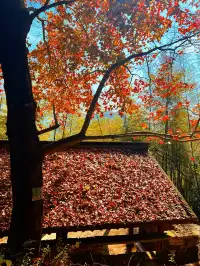 台州賞秋封神4條徒步路線建議收藏~