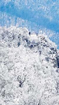 北京初雪刷屏南京紫金山霧淞已在路上!東北平替絕美暴擊