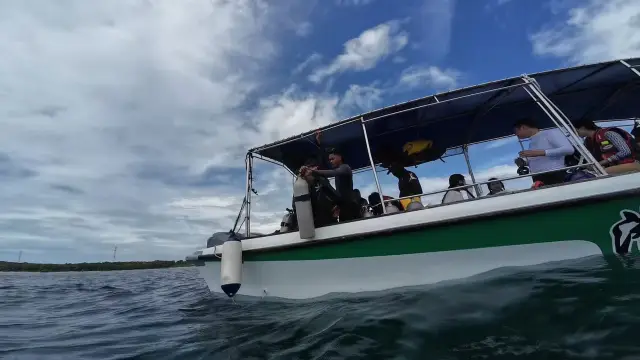 Snorkeling or Scuba Diving in Bali