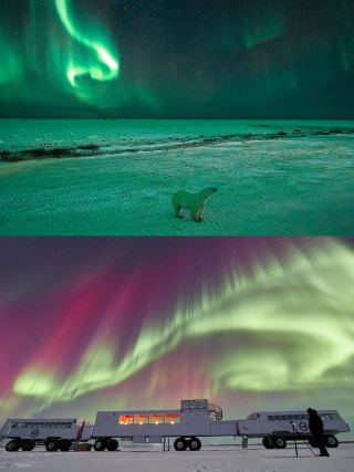 Off-the-beaten-path outdoor adventure in Canada: Polar bear watching in Churchill.