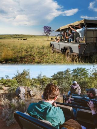 South Africa Luxury Safari Must-Visit Checklist