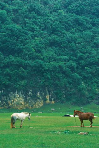 安順天印山｜カルストに隠れた抹茶グリーンの秘境