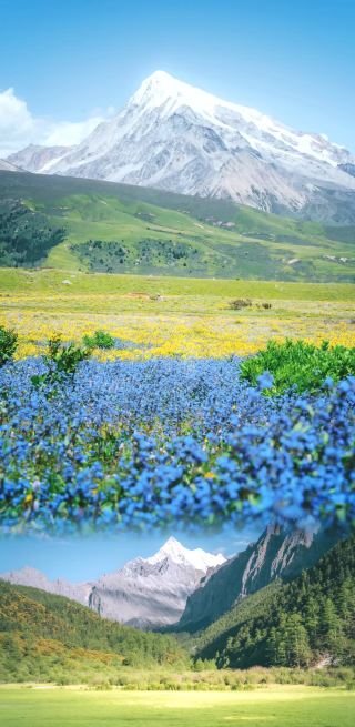驚きの絶景！川西の必訪スポット完全解析、手取り足取り遊び方を教えます
