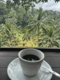 🌿 The Peaceful Side of Bali: Ubud Rice Fields, Rainy Evenings & A Stay Surrounded by Nature 🇮🇩