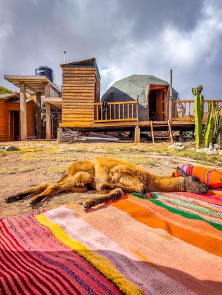 Wonderful Travel Experience with Chaska Travel Peru